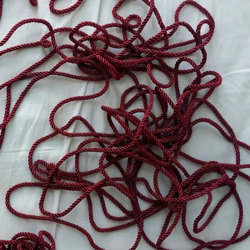 I think I've outgrown selfbondage