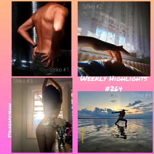 Weekly Highlights #264