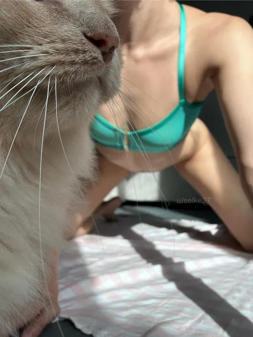 I think this is Augie’s favorite Community!