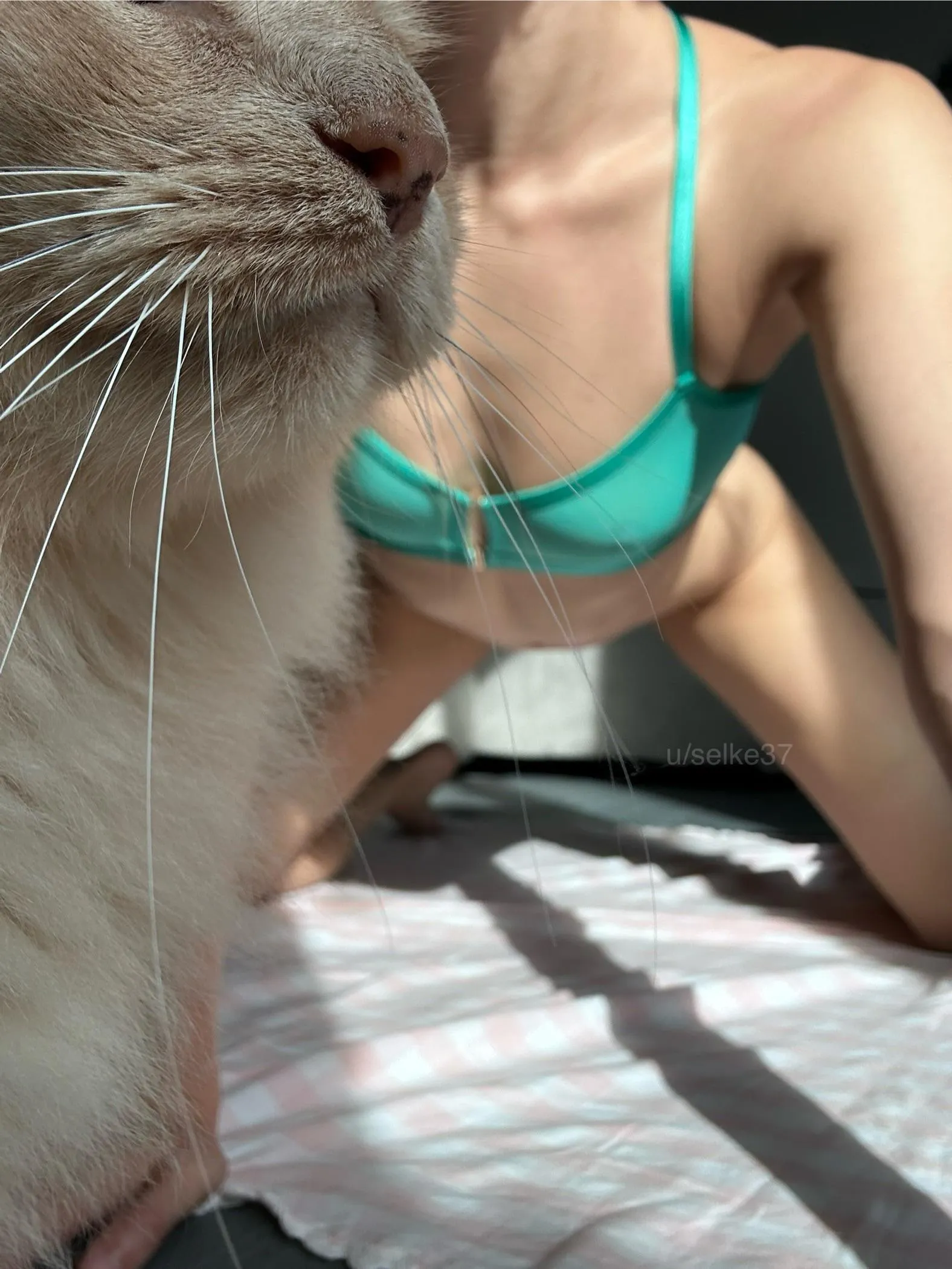 I think this is Augie’s favorite Community!