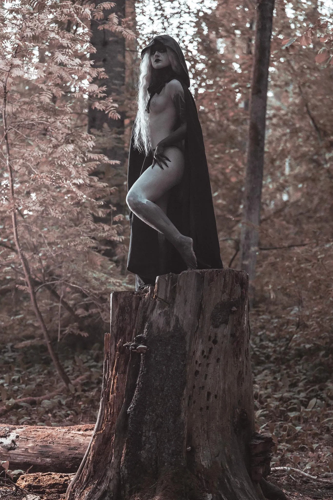 Alluring witch in the forest