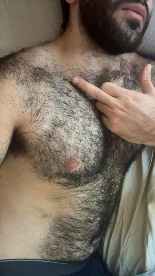 Just woke up, now come serve your king