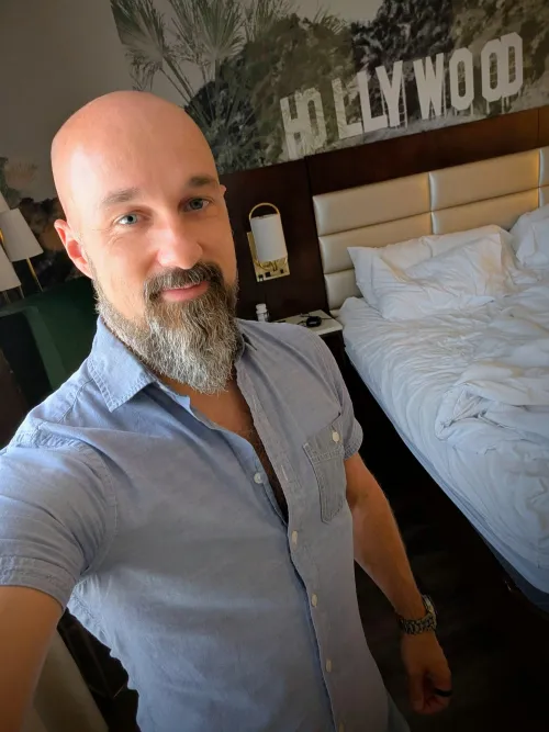 A Night Out In Hollywood