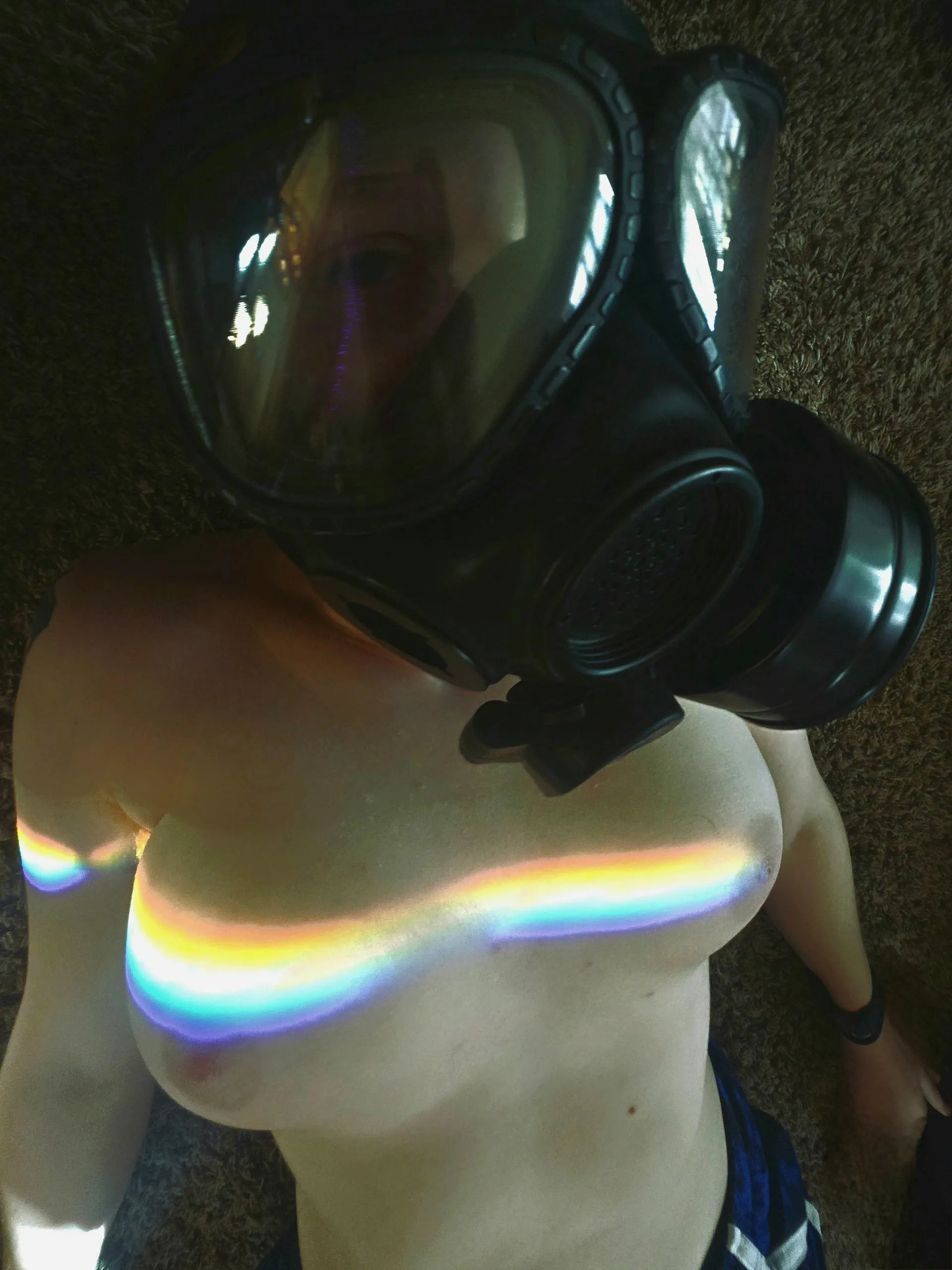 No foods 
needs to 
starts using 
photosynthesis