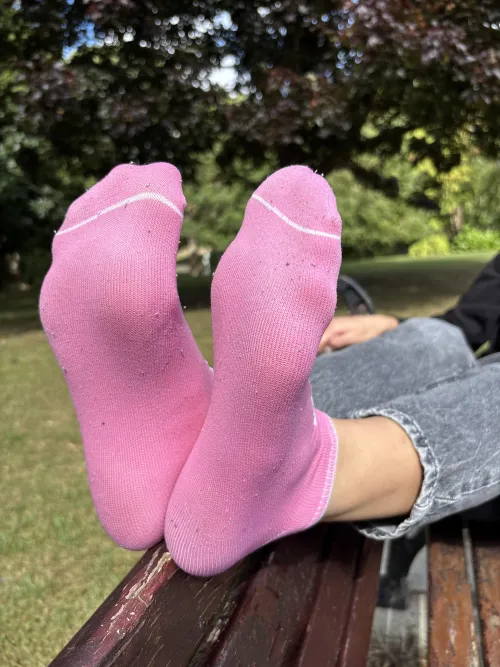 my socks are clearly smelly after a long walk, do you want to sniff?