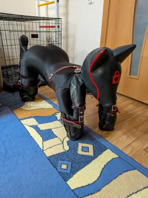 Puppy drone here. Awaiting commands [OC]