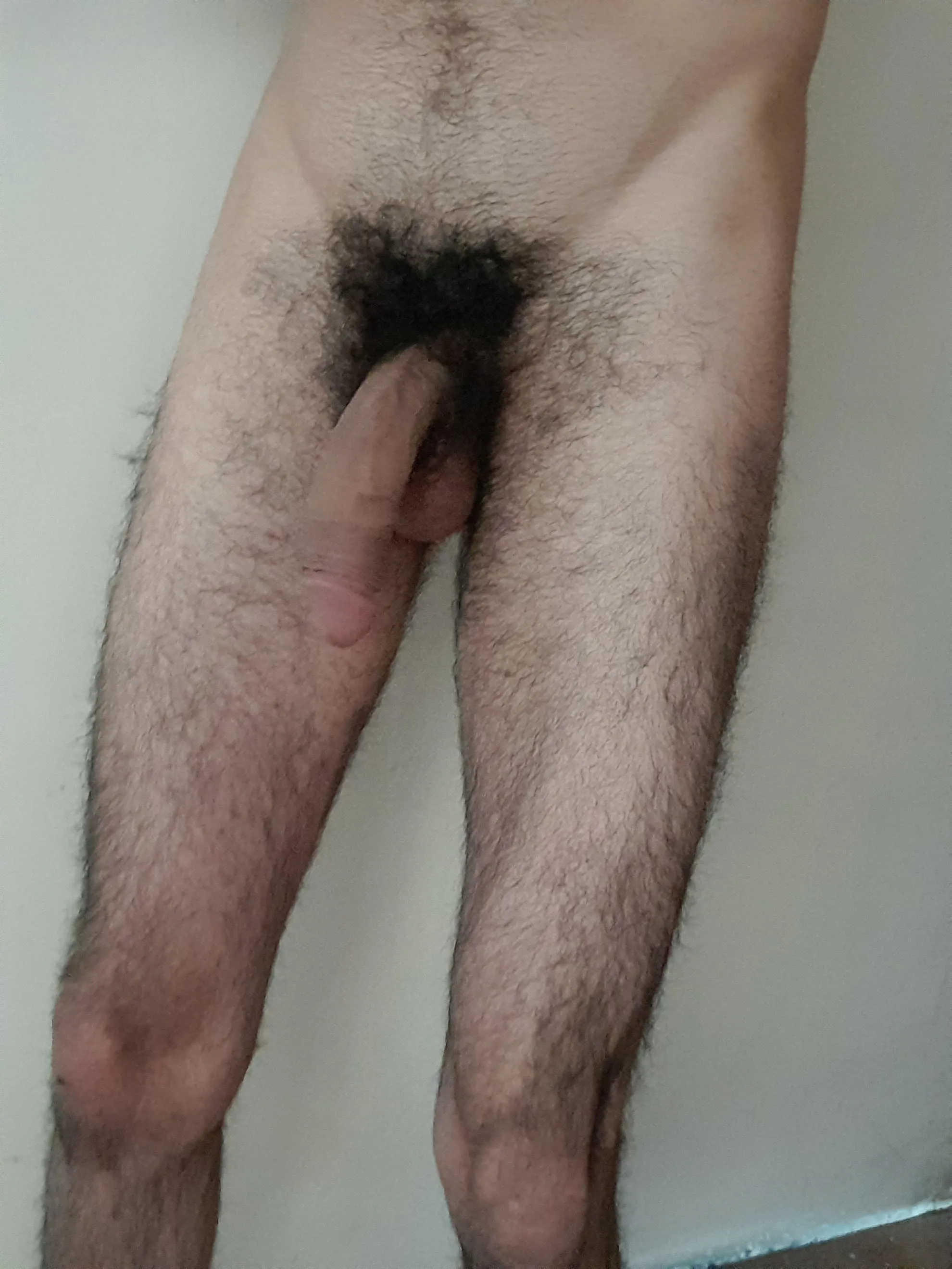 Enough hair for you?