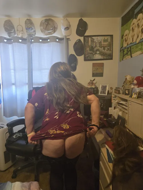 Looking to have some fun