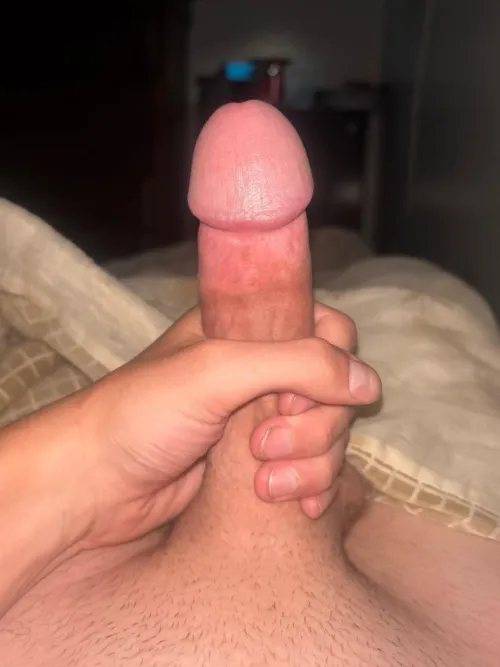 25M comstock park area. M4F/M4MF hmu!
