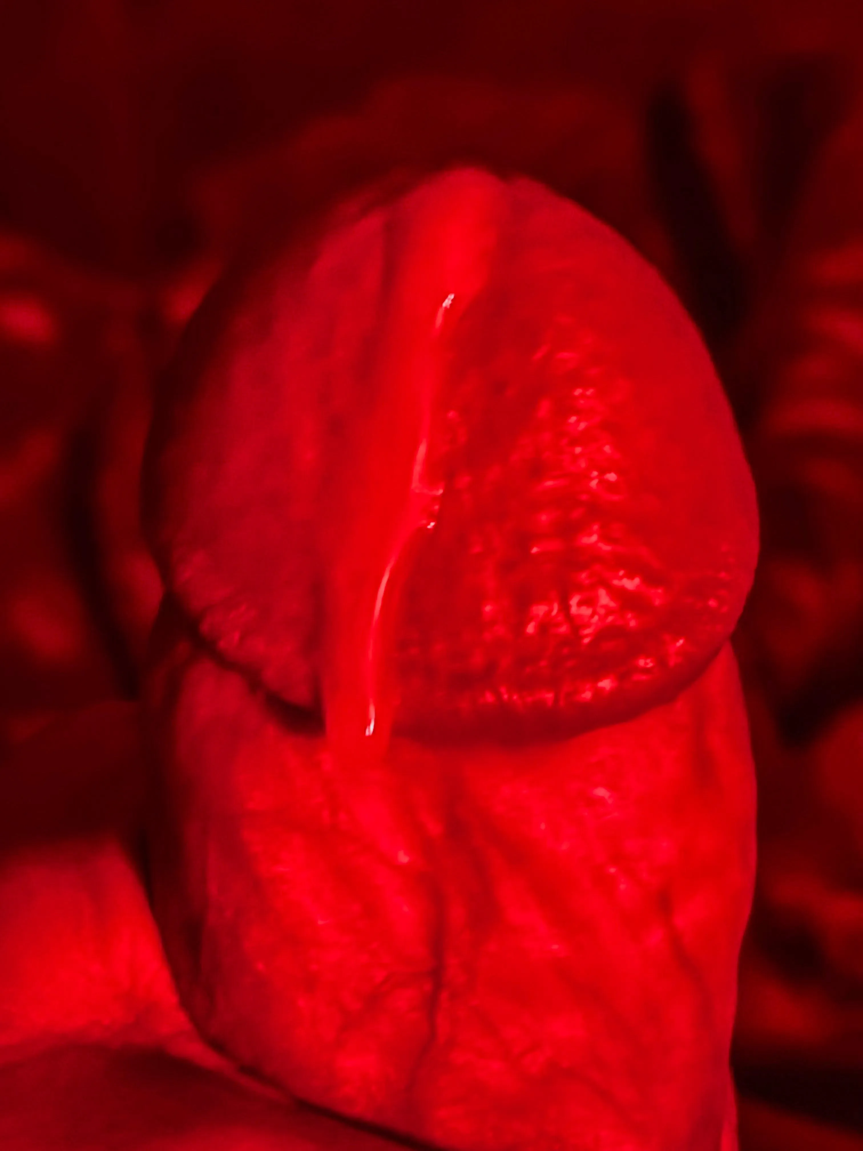 (54) My cock head with cum dripping …red light