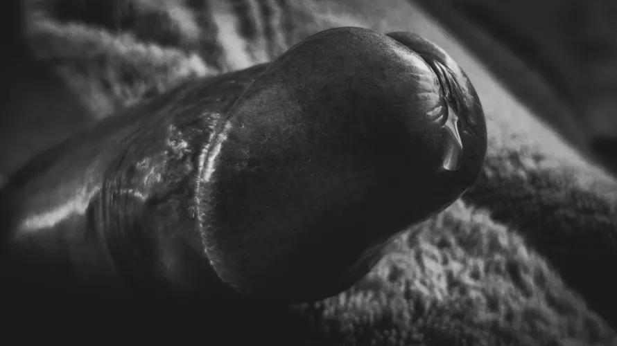 Juicy! Do you like it?