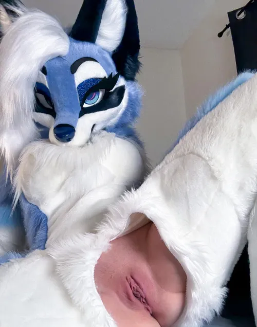 Be honest, would you breed me? 🐾  [SpiceyFoxx]