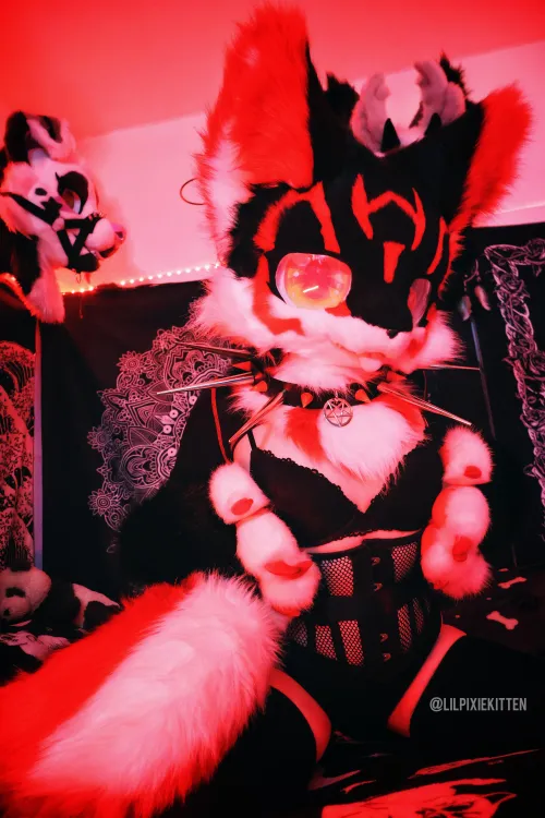 Careful you don't get too close to my 6-inch spikes 😏 [LILPIXIEKITTEN]