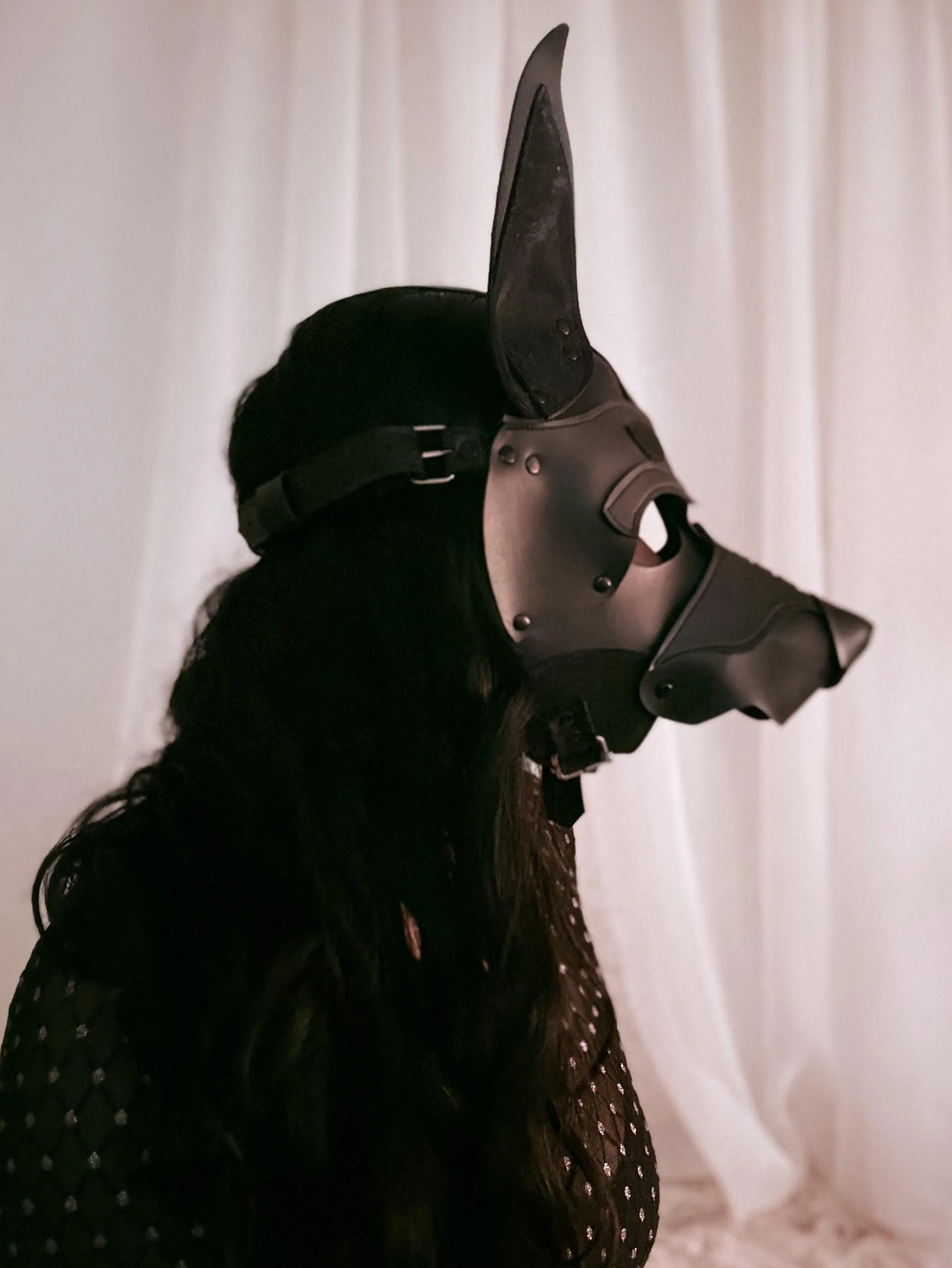 I'm going to use my snout on you