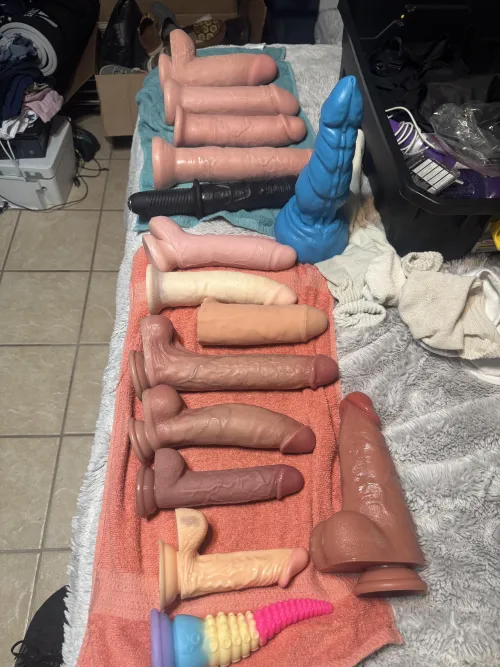 Little collection for the wife to enjoy