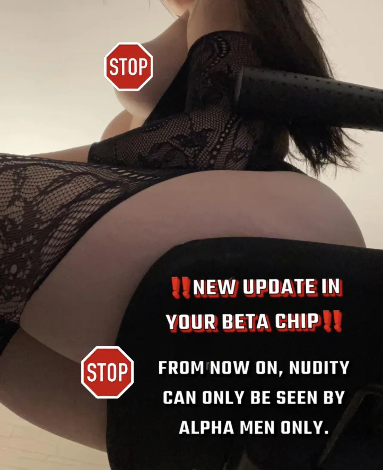 Your beta chip just got an upgrade: exclusive access for Alphas only. Try again when you grow a spine & a c0ck