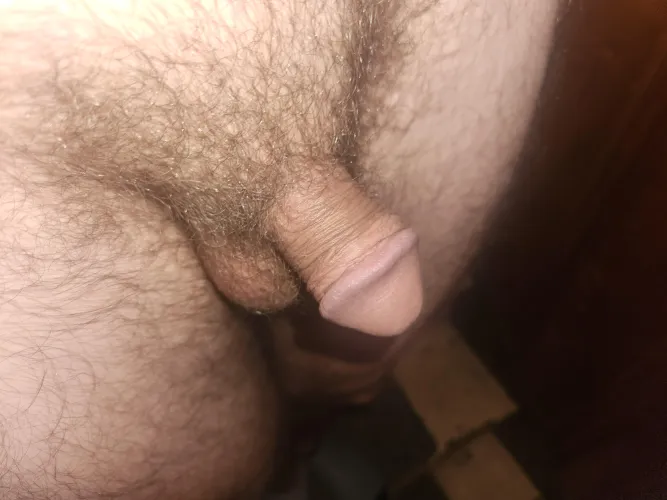 (34) A little small this morning