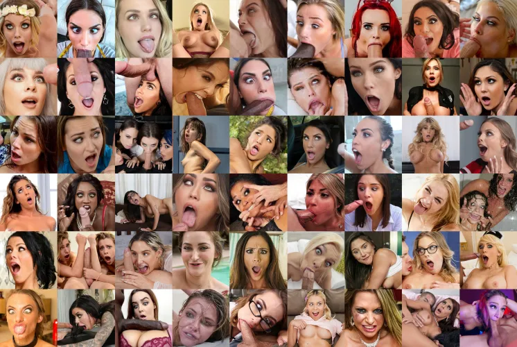 A brief summary of what you can expect from my sub