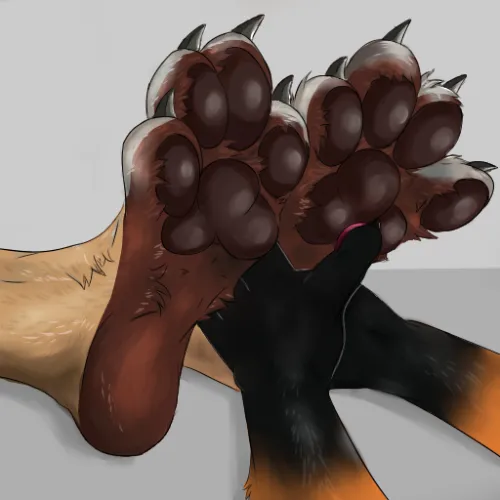 Paws for voissakitsune (OC)