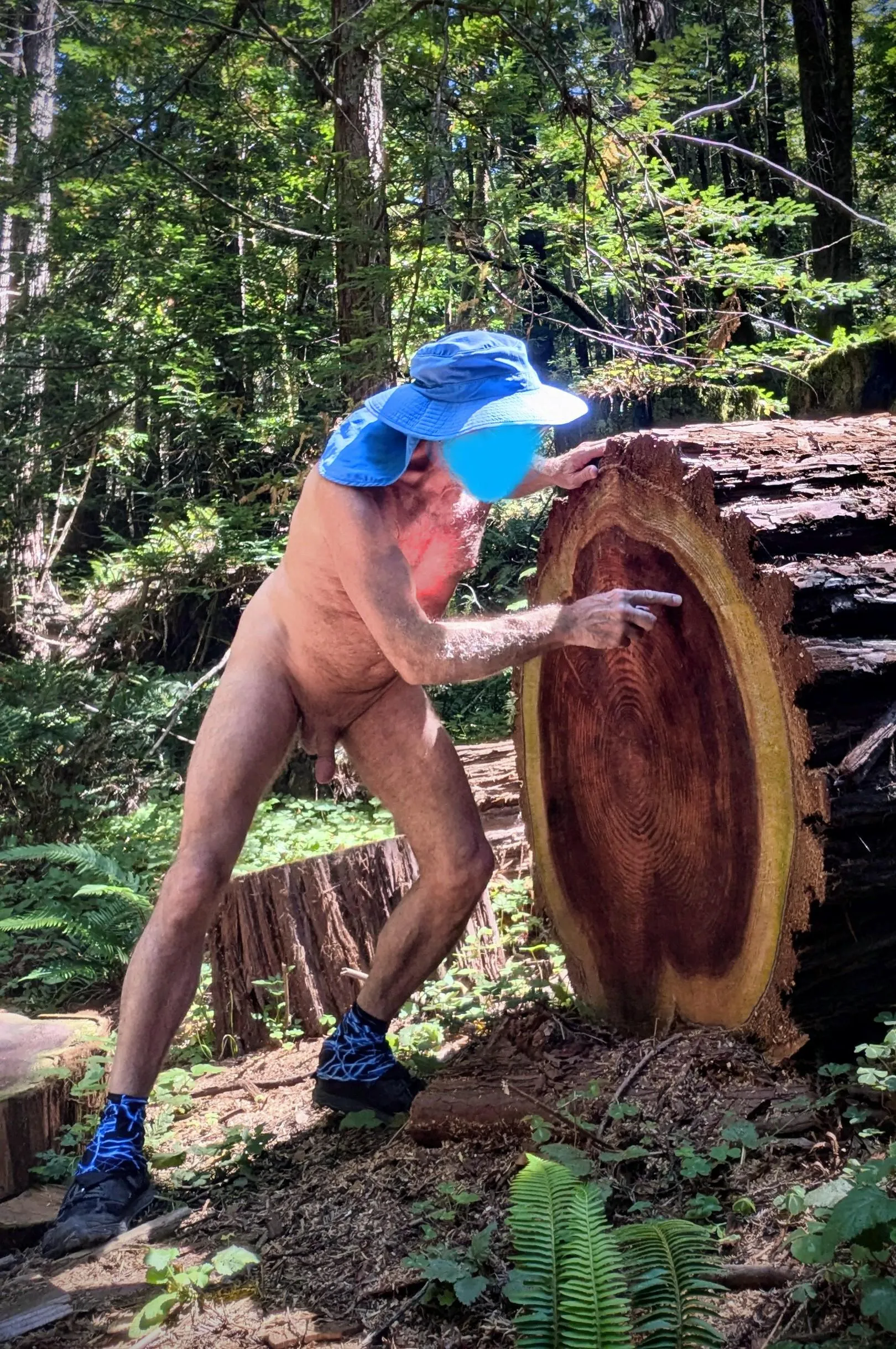 Tree Pose Tuesday. How old are you?