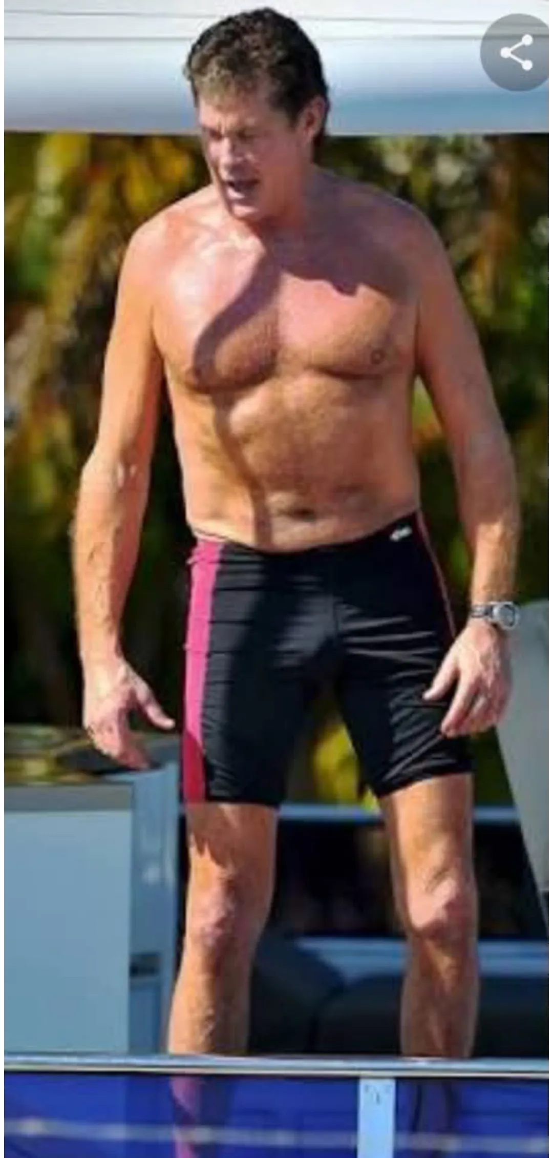 David Hasselhoff - Main Actors from Knight Rider and Baywatch.