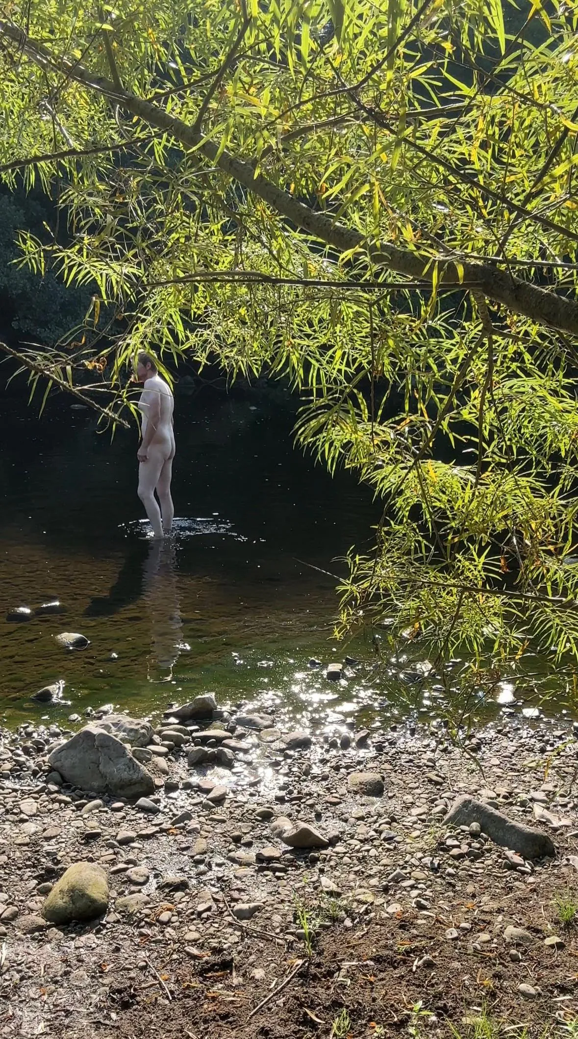 A Nice Spot to Cool Down