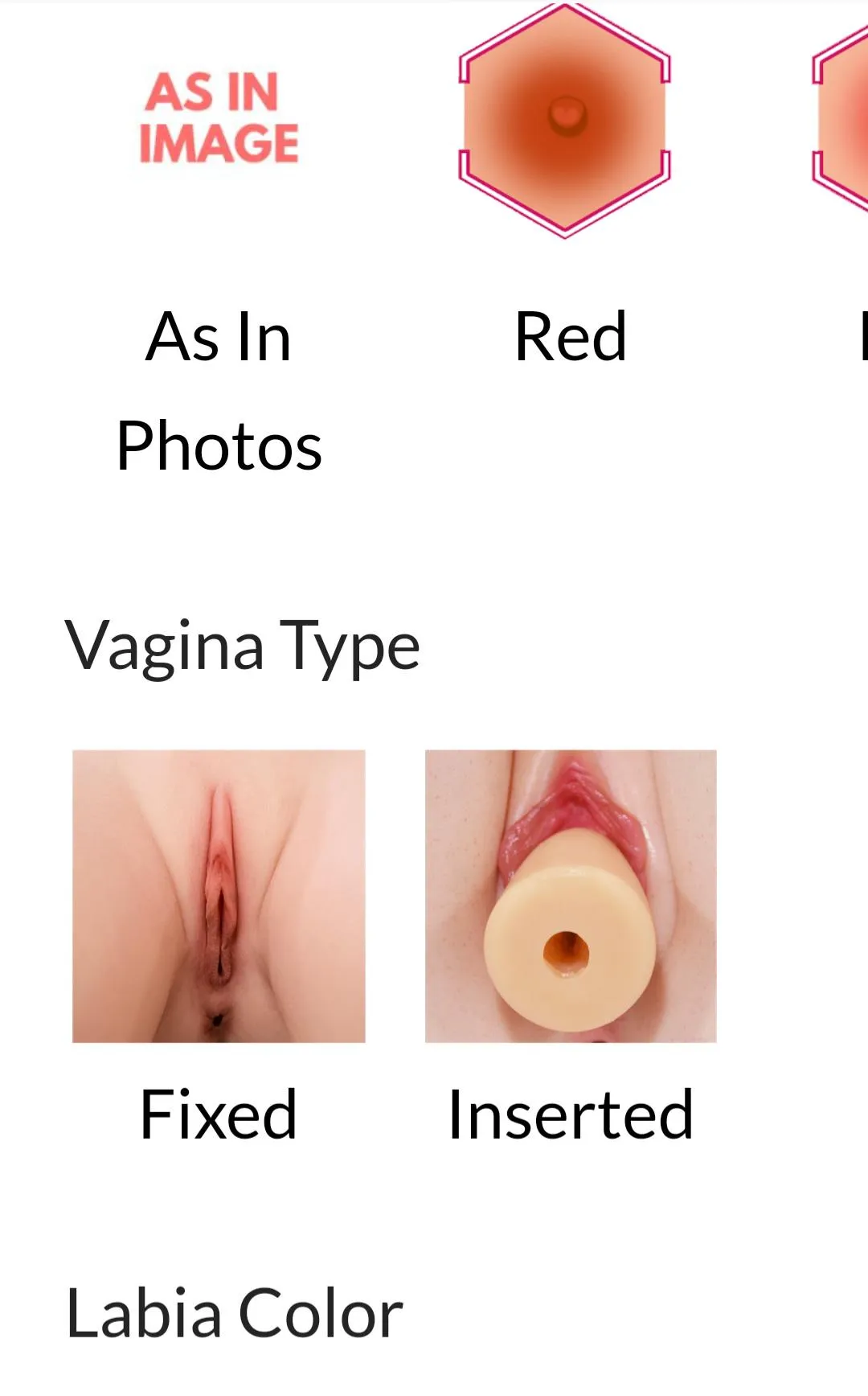 Anyone experience with a replaceable vagina? If yes do you like it?