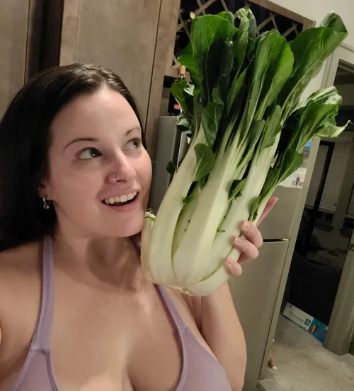 Got this freakishly large bok choy in my Amazon order last night. Wtffff