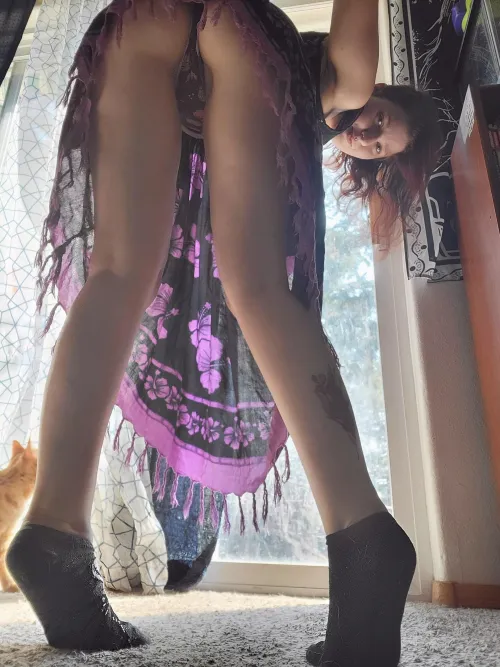 A sniffer's favorite position