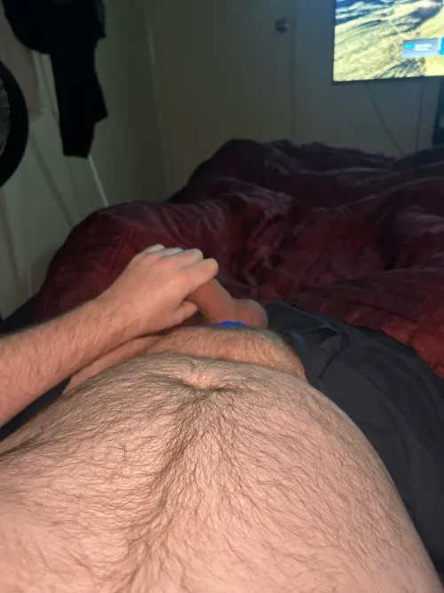 34 Bear looking for younger snap leschaf91