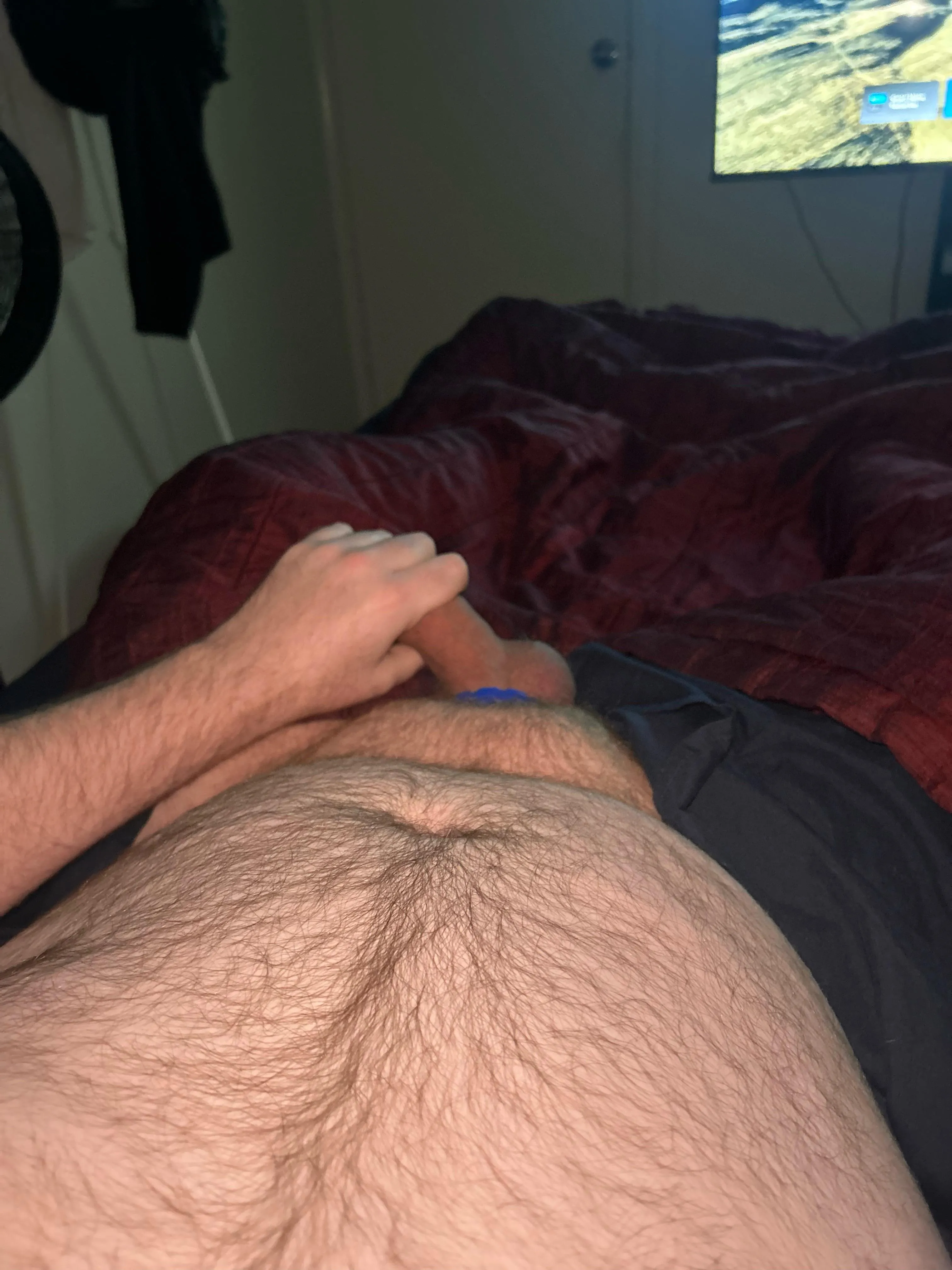 34 Bear looking for younger snap leschaf91