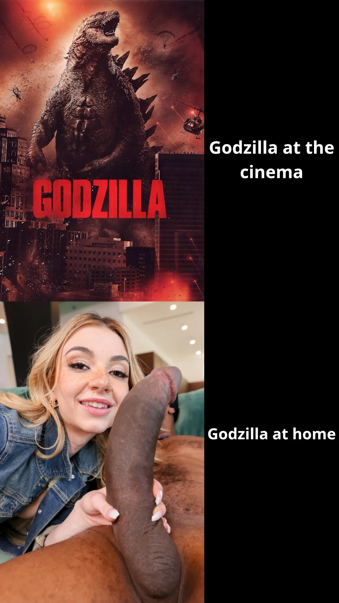 Godzilla or Brickzilla ?