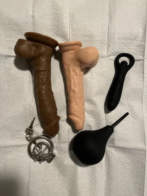 Had to restart my collection after a purge