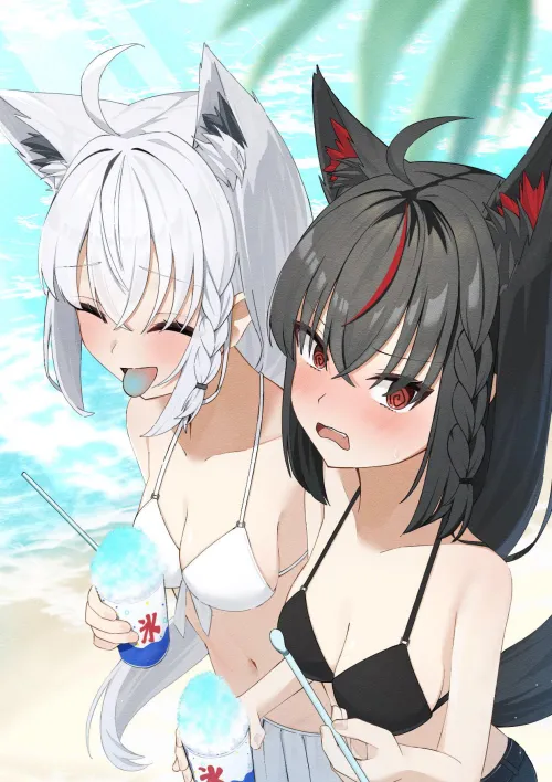 Summer [Shirakami] and [Kurokami Fubuki] (ryuna14248722) [Hololive]
