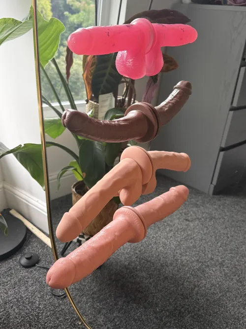 Wife’s toys …. But which is her favourite??