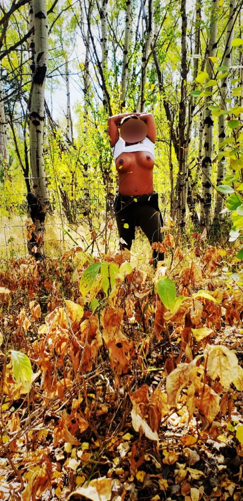 noco hotwife fall is here