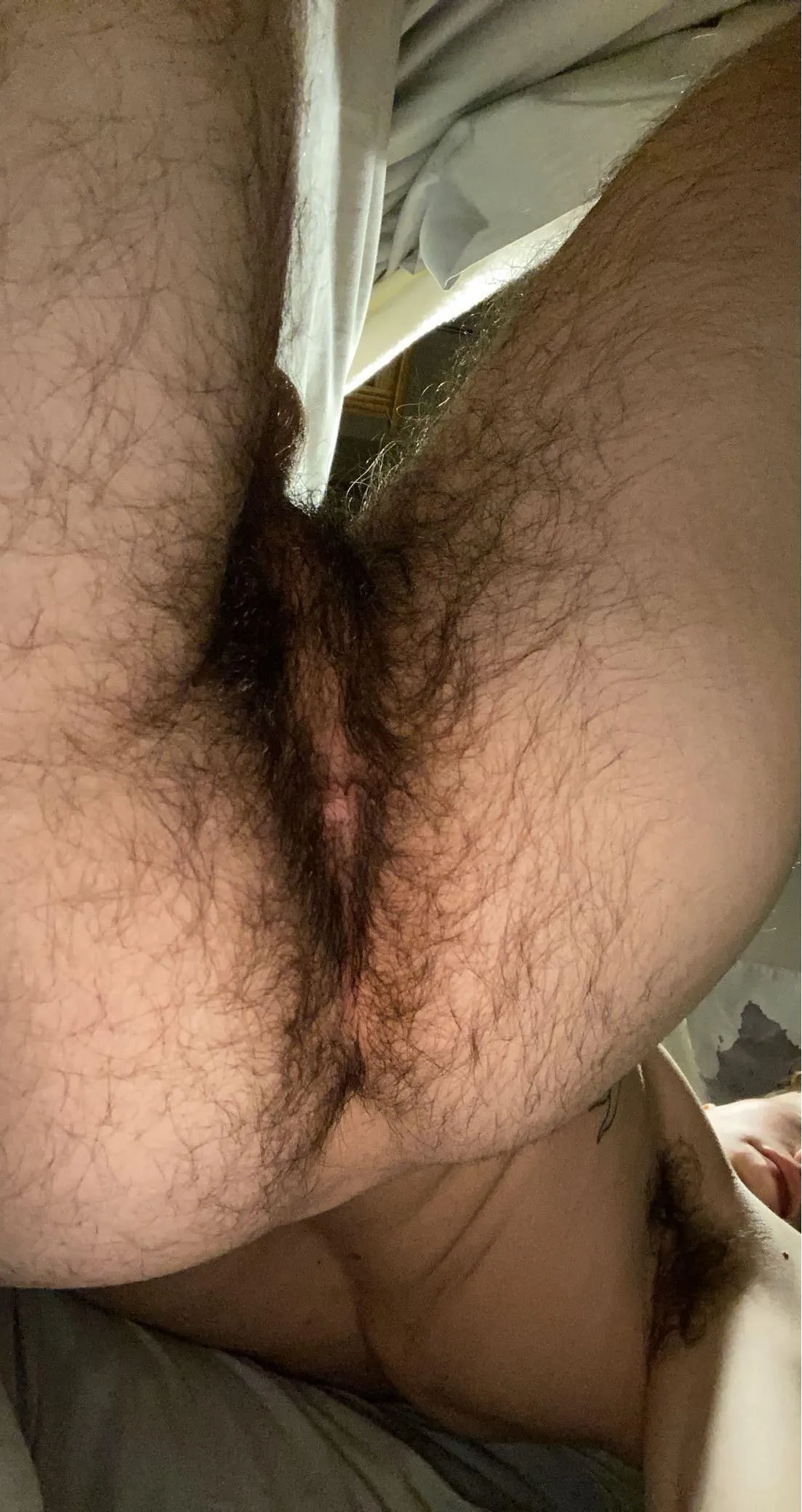 24 hairy hole