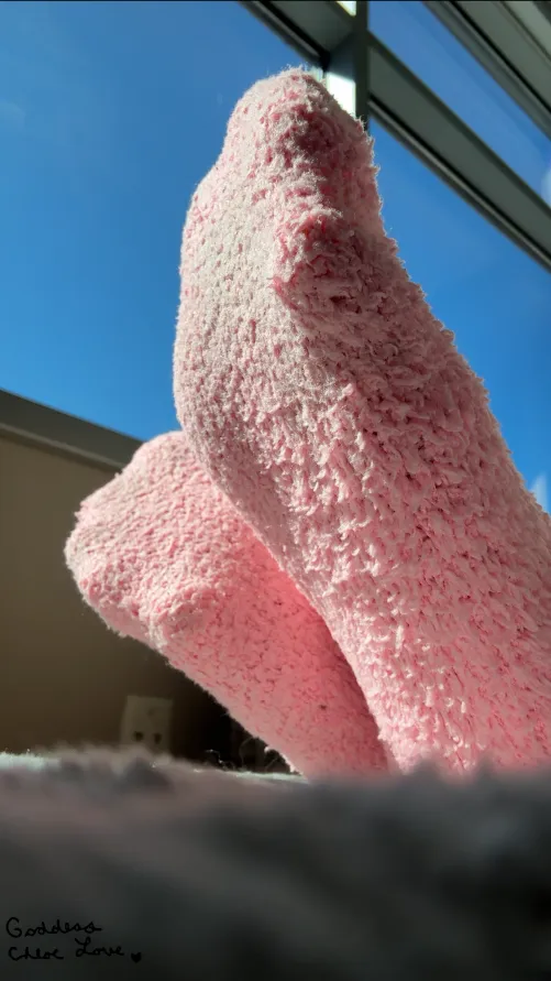 [F] The closer you get, the better they taste.