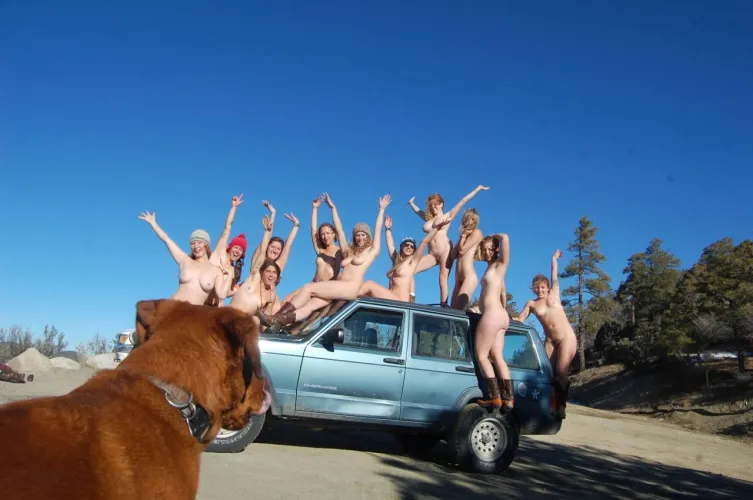 Vet calendar outtake