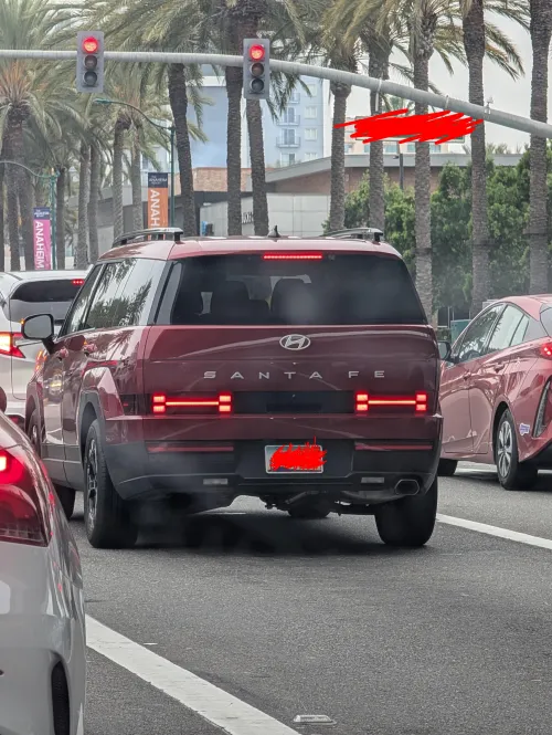 Puppy, just cause you saw a car with bone shaped tail lights, doesn't mean you can jump out the window and chase it into traffic