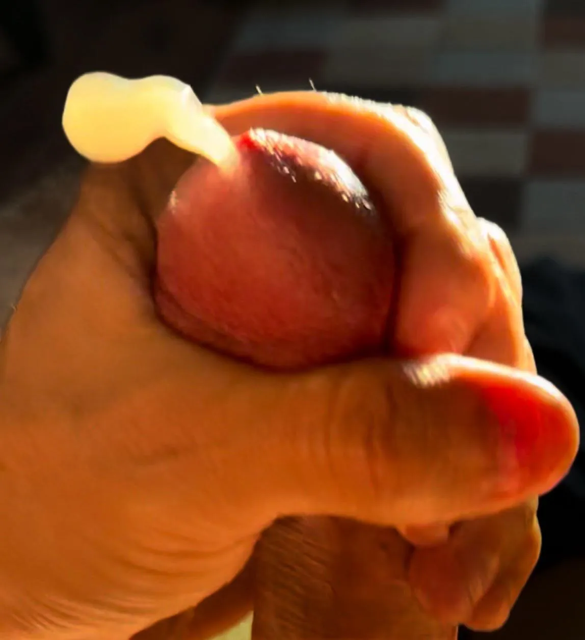 (54) Morning Light Shooter…You catching it in your mouth?