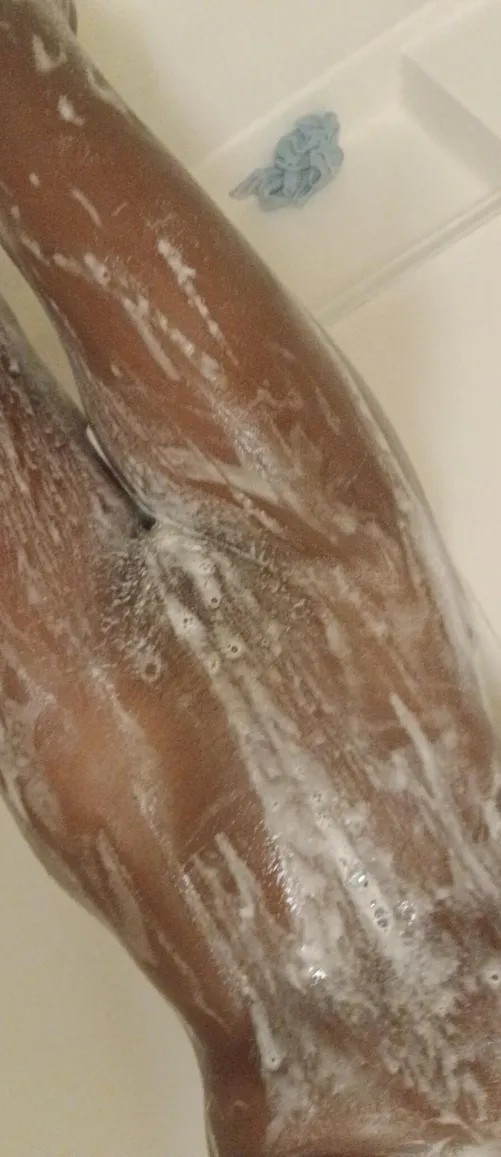 Shower bunny Colorado