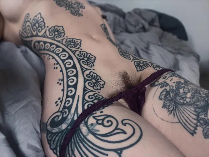 Curves and a cute tuftie