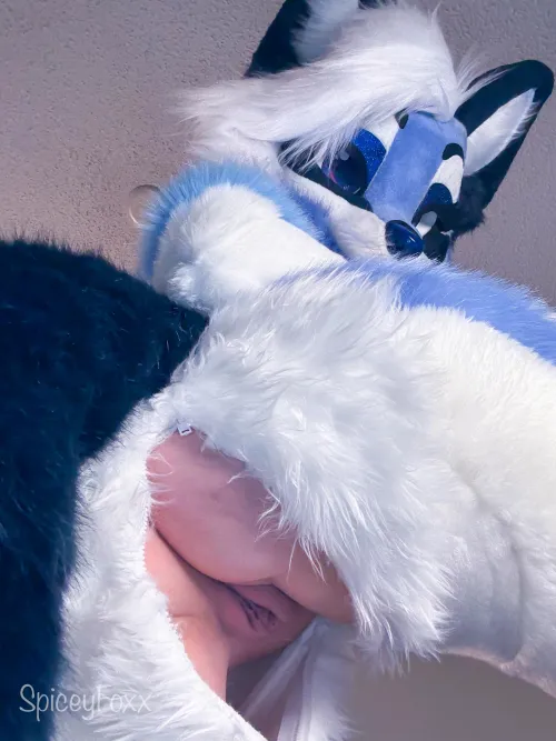 I’ll ride your face till my legs are shaking 🥵 [SpiceyFoxx]