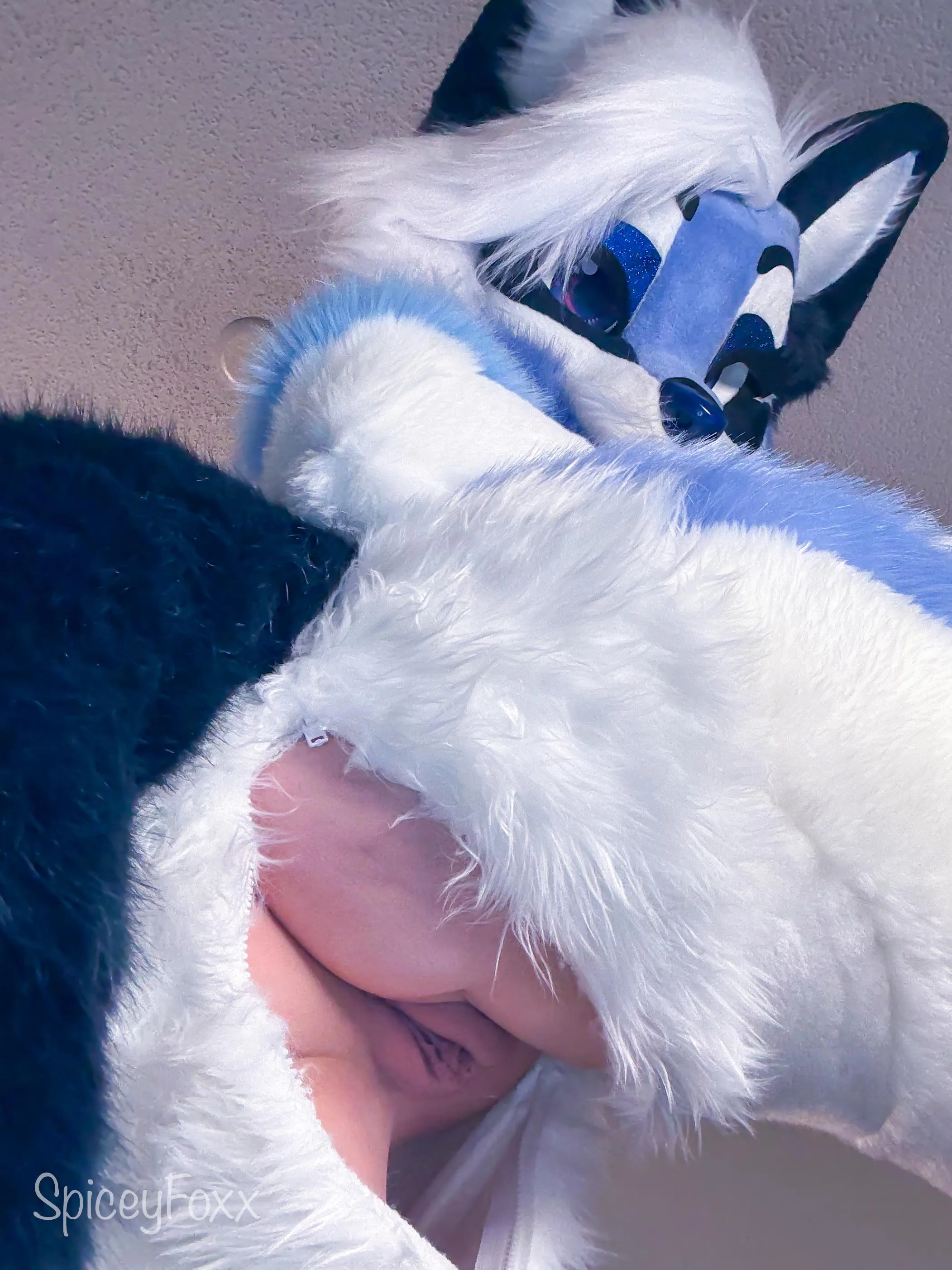 I’ll ride your face till my legs are shaking 🥵 [SpiceyFoxx]