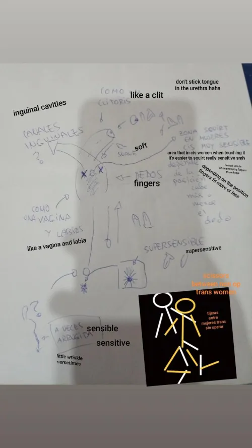 Information I gathered about feminine penises being a bottom