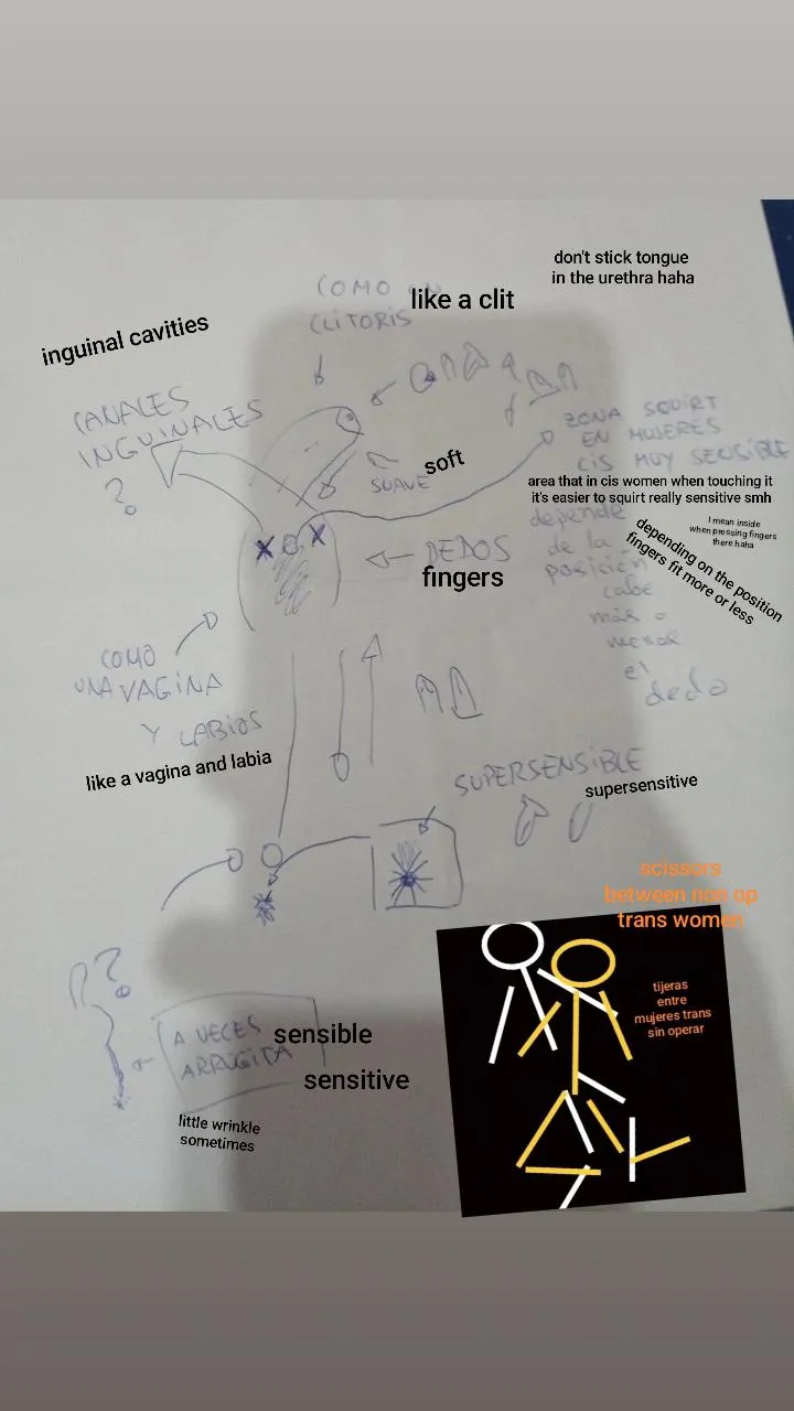 Information I gathered about feminine penises being a bottom