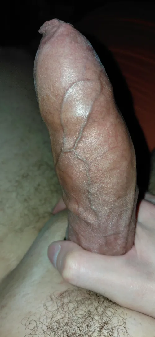 My long tight foreskin