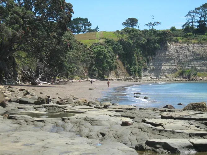 Pohutukawa Bay, New Zealand, to Queensland Australia