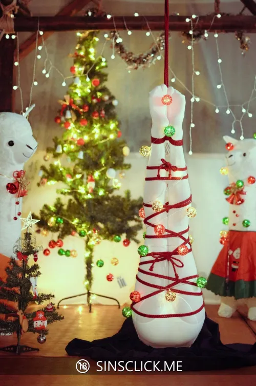 When my owner said she need a Christmas tree